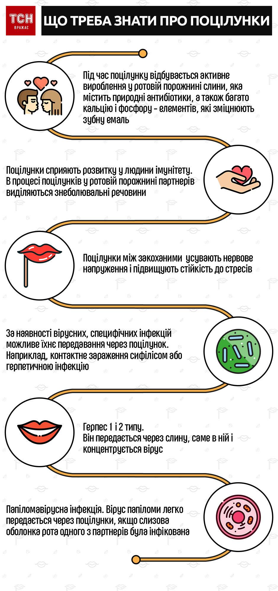 Всемирный день поцелуя. Врачи рассказали о рисках и влиянии нежностей на  организм человека — Курьезы