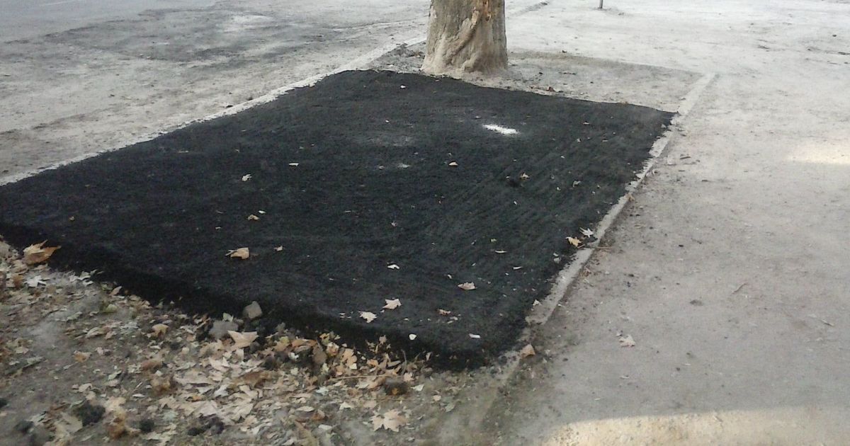 У центрі Миколаєва закатали в асфальт частину зеленої зони