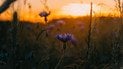 Який день ангела 18 серпня