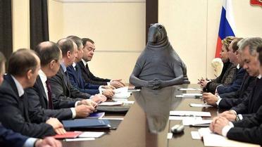 Фотожаби з Почекуном / © twitter.com/PoliticanaRu