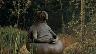 Фотожаби з Почекуном / © Фото з соціальних мереж