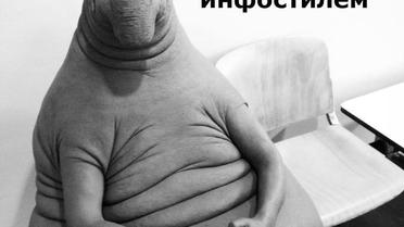 Фотожаби з Почекуном / © Фото з соціальних мереж