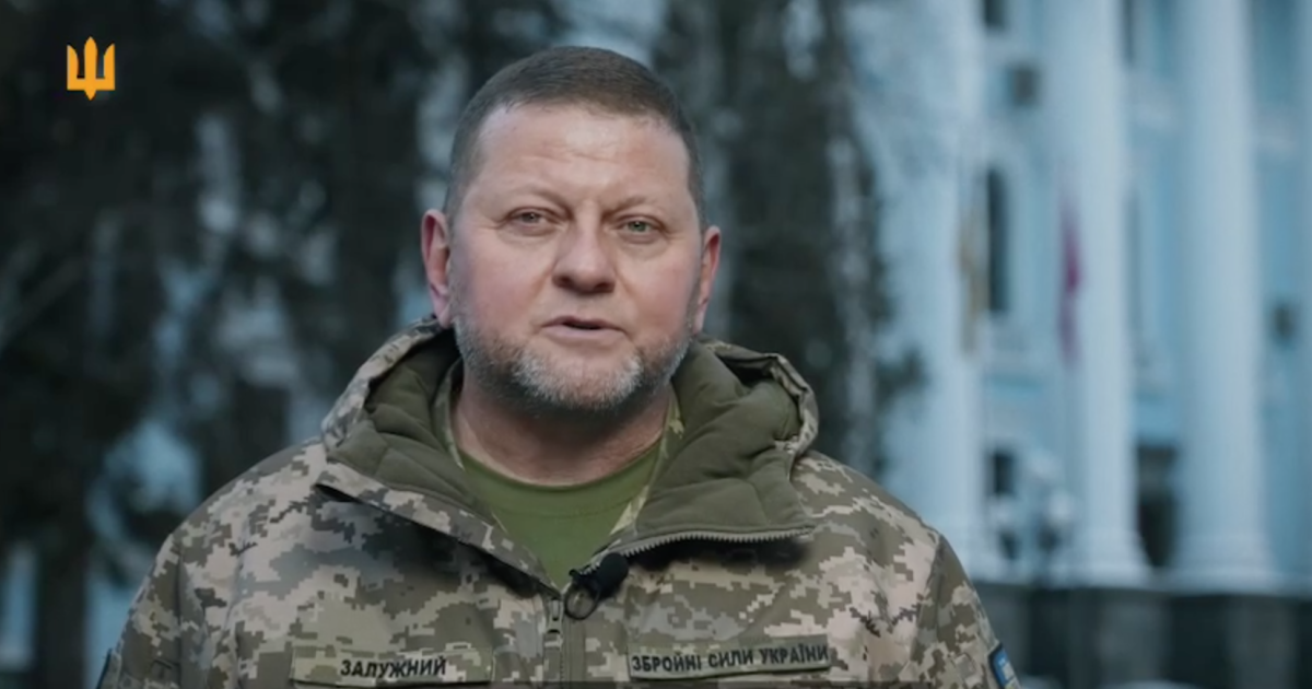 Головнокомандувач ЗСУ Валерій Залужний / Скриншот