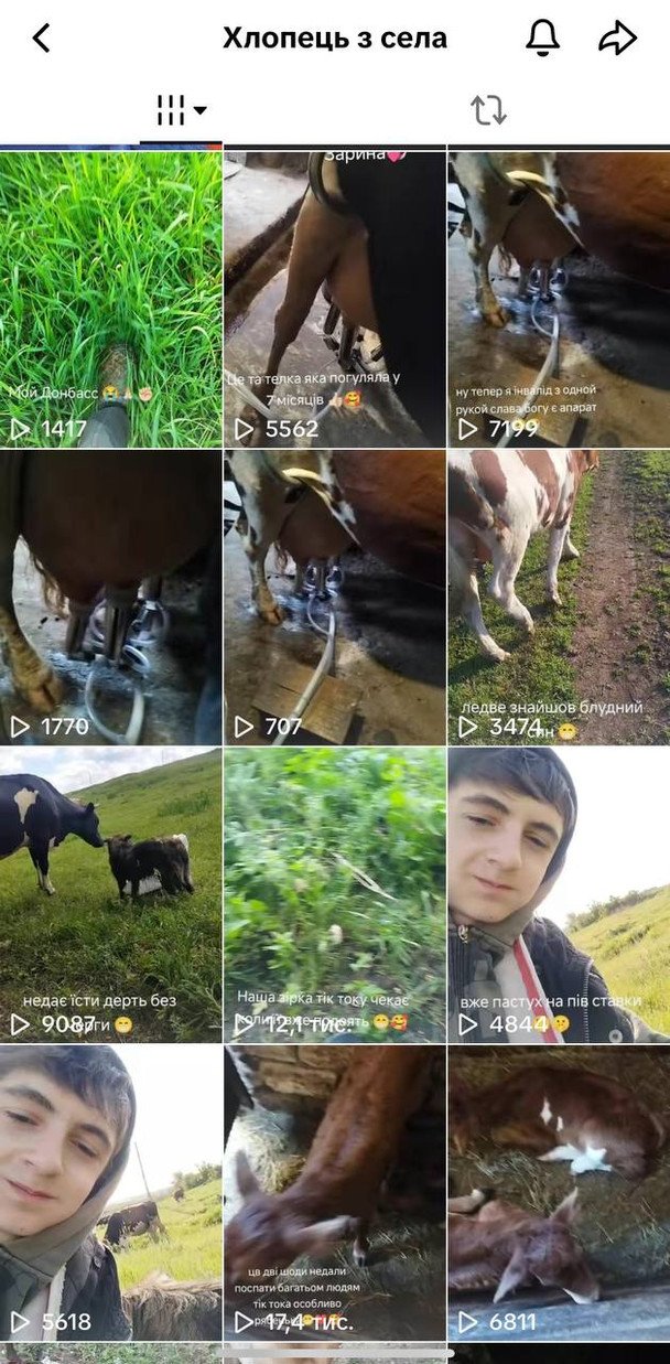 Скриншот сторінки в TikTok \ maksim910