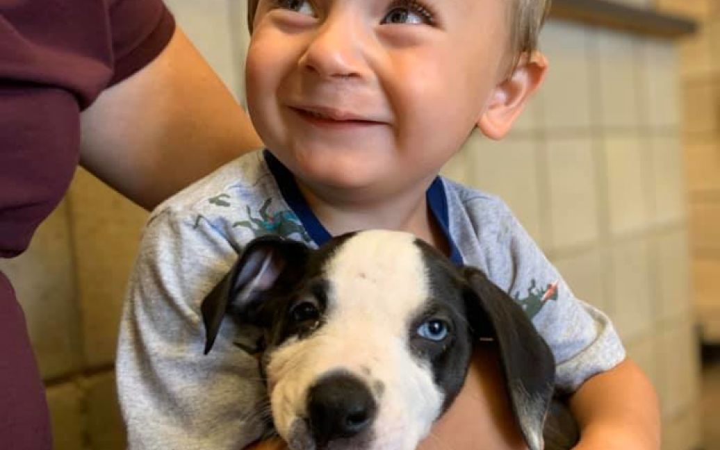 © Facebook / Jackson County Animal Shelter - Michigan