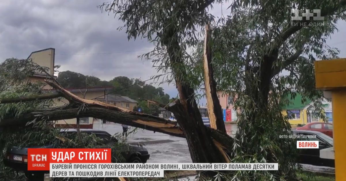 Ураган на Волыни поломал десятки деревьев и повредил линии электропередач