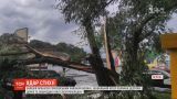 Ураган на Волыни поломал десятки деревьев и повредил линии электропередач