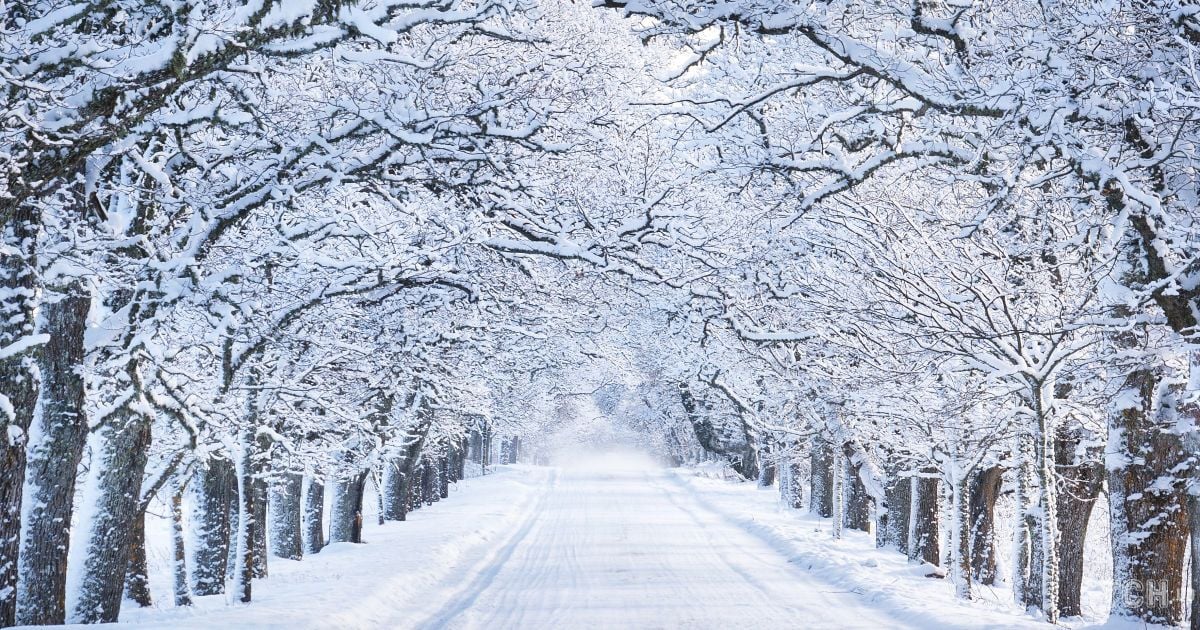 Гороскоп на 28 грудня для всіх знаків зодіаку