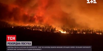 Європа смажиться і засихає без дощів, такого не було 500 років