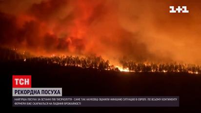 Європа смажиться і засихає без дощів, такого не було 500 років