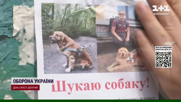 Пошуки Плюші / ©