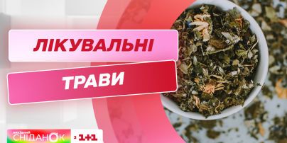 Лікарські трави від нежитю та лихоманки | Травник Вадим Жигун