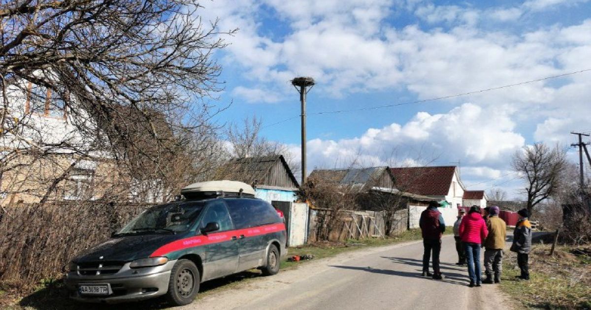 У Київській області місцеві жителі допомогли лелеці полагодити гніздо