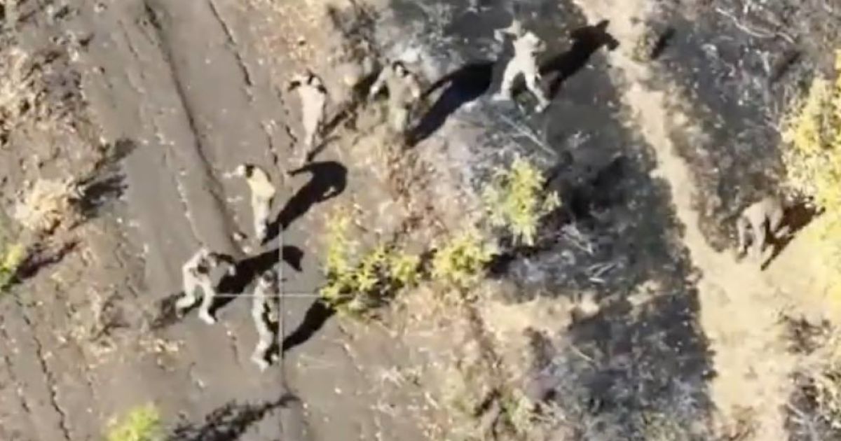 Росіяни "накрили" своїх солдат, коли ті намагалися здатися у полон Україні