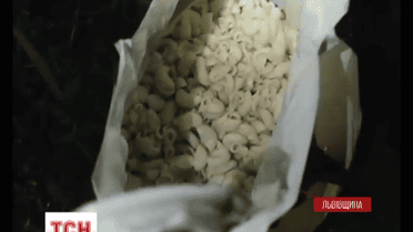 Солдатська їдальня Яворівського полігону опинилася у центрі скандалу