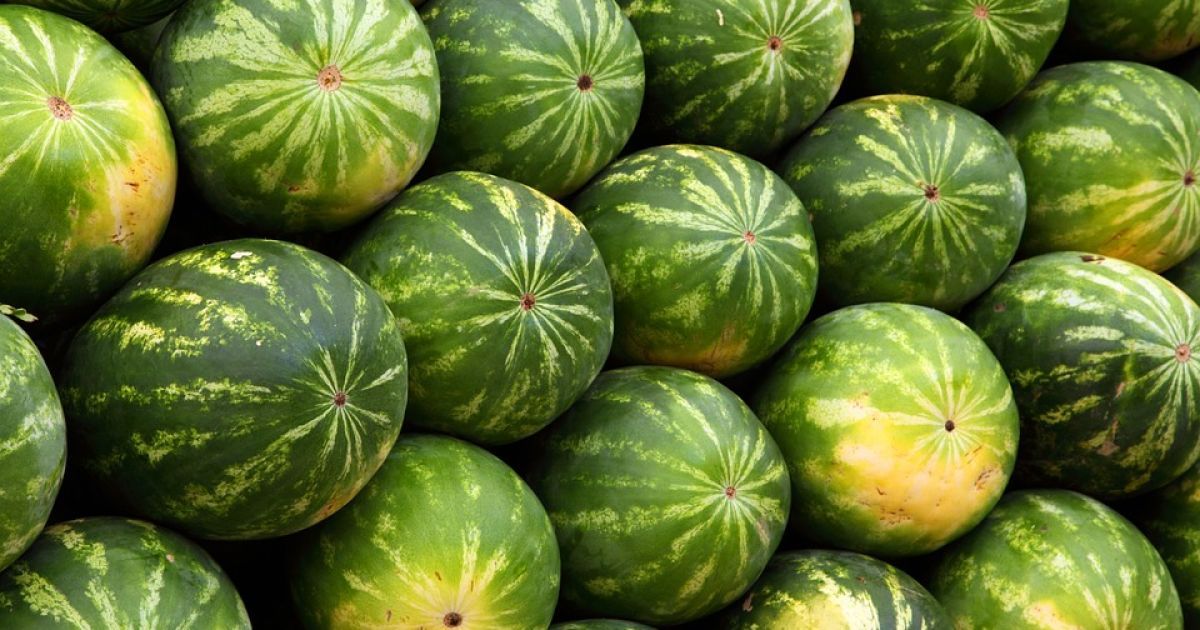 В Україні почався сезон кавунів: скільки коштують баштанні на ринках і в магазинах