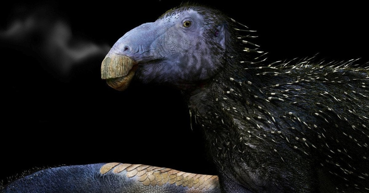 Художественная реконструкция остролистого Хаолун донги. Фото: Фабио Мануччи