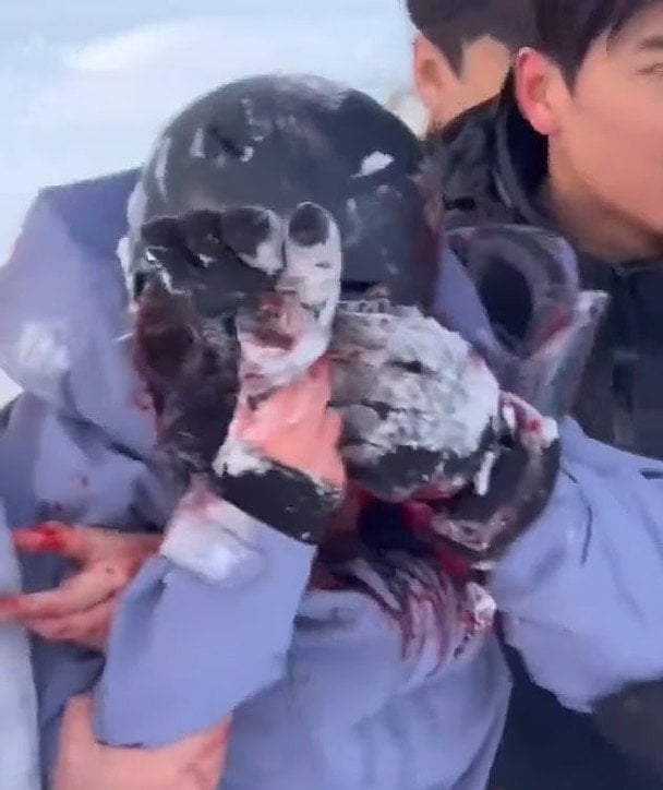 У Китаї сніговий барс напав на туристку, бо вона хотіла зробити з ним селфі.  / © dailymail.co.uk