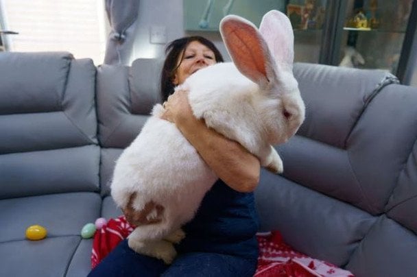 Кролик Джуніор і Лін / © SWNS