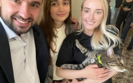 У Львові знайшли кота Садового і одразу повезли у клініку