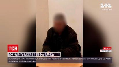 Убийство Марии Борисовой: что известно о подозреваемом 62-летнем мужчине