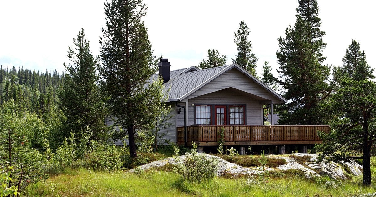 Які дерева не можна садити біля дому