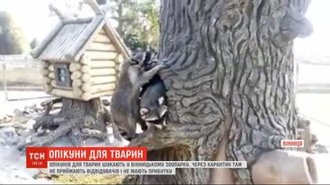 В Винницком зоопарке ищут опекунов для животных
