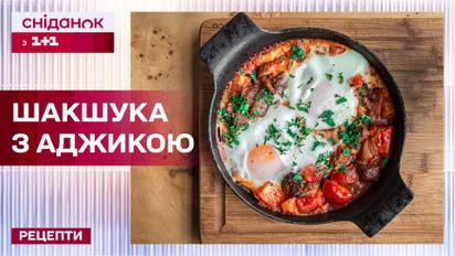 Самый популярный завтрак восточной кухни! Шакшука с аджикой – Рецепты Сниданка с 1+1