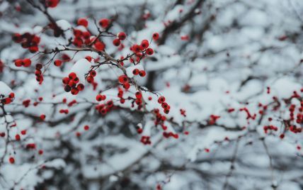 Морозы до 17 градусов и гололедица: во Львовской области синоптики предупредили об ухудшении погоды