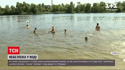 Новости Украины: в Киеве на трети из разрешенных пляжей нашли кишечную палочку