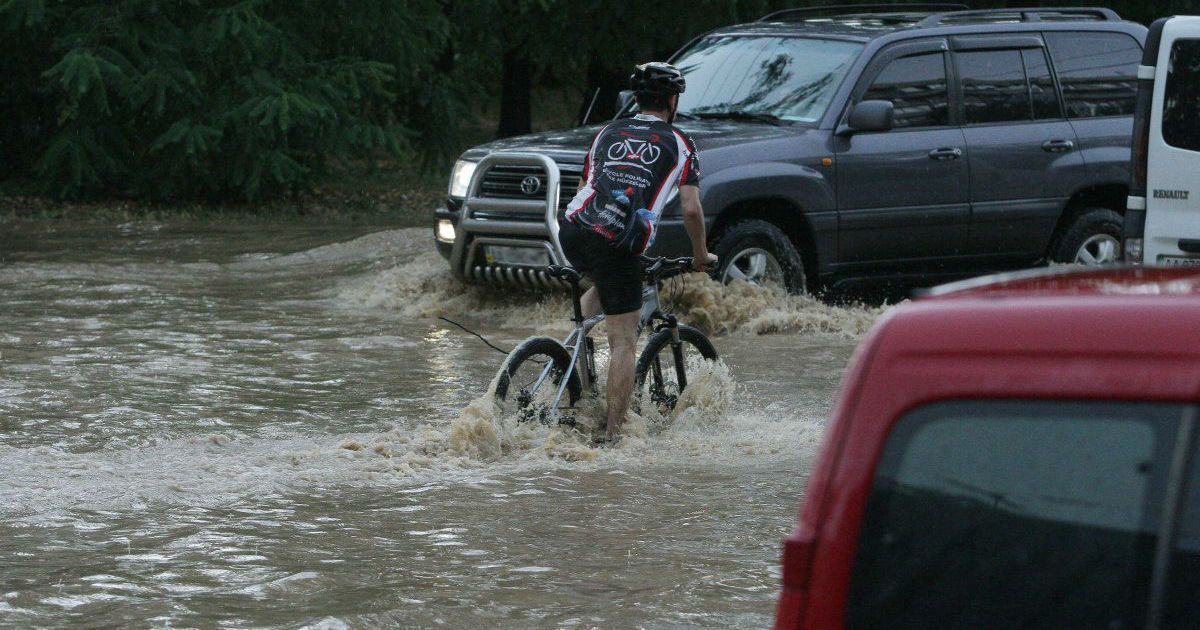 Непогода атаковала Одессу: ветер валит деревья прямо на автомобили