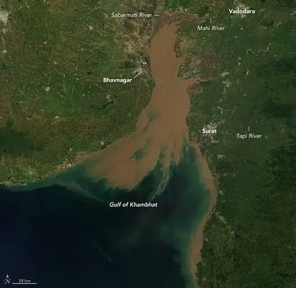 Супутниковий знімок затоки Кхамбхат в Індії.  / © NASA