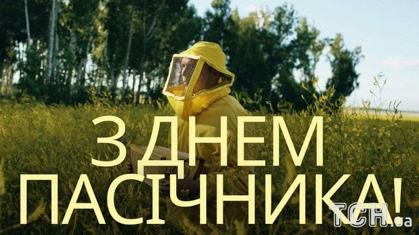 Открытки с Днем пчеловода / © ТСН