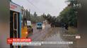 Буревій повалив дерева та обірвав електродроти у Львові