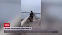 На День Соборності України замайорів синьо-жовтий стяг на залишках Антонівського мосту!