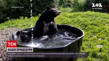 Новости мира: в зоопарке США сняли, как медведь принимает водные процедуры