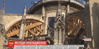 Знаменитый Нотр-Дам под угрозой разрушения из-за жары