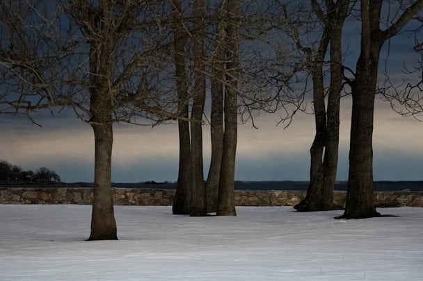 Народні прикмети 11 лютого / © pexels.com