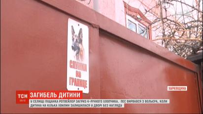 У Харківській області ротвейлер загриз 4-річного хлопчика: подробиці трагедії