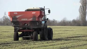 Аграрії впевнені, що в росіян не вийде позбавити українців хліба