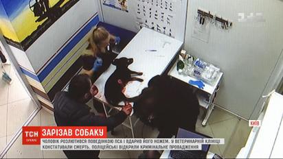 Киевлянин жестоко зарезал собаку своего друга, потому что она произвела потребность в его квартире