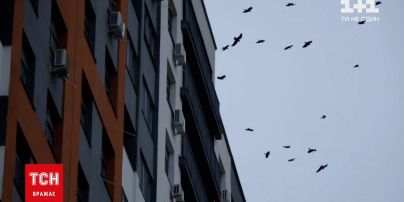 ТСН.Тиждень расскажет о рисках покупки жилья в новостройках