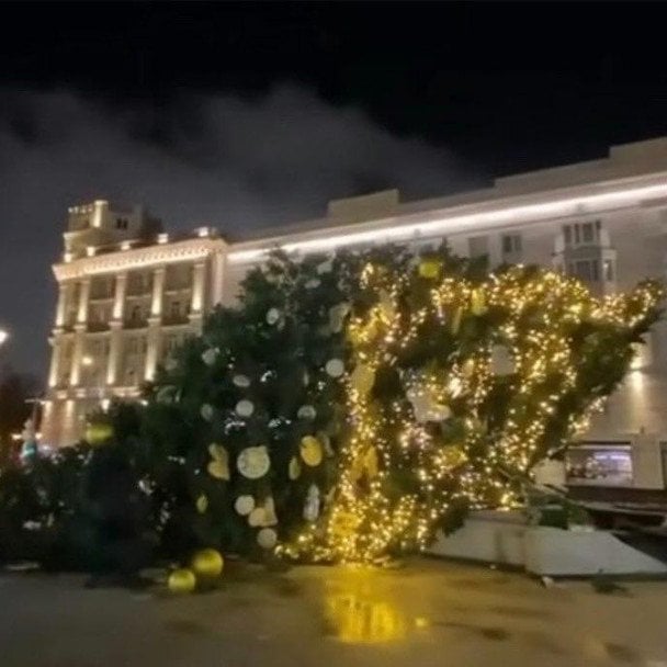 У центрі Москви ялинка, яка впала, нещодавно виглядала саме так. Фото: соцмережі.