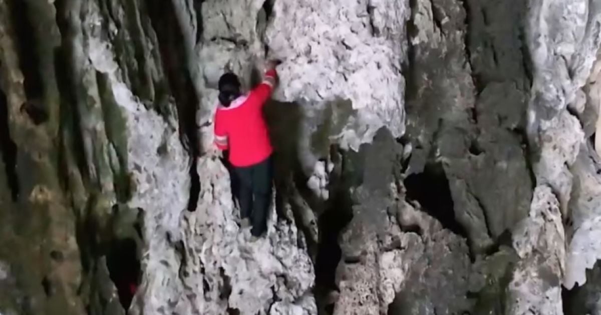 Луо Денпін / Фото: Weibo