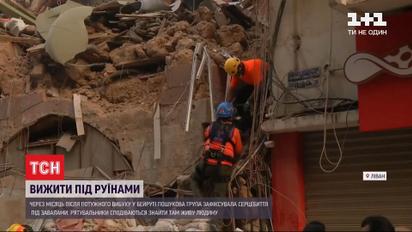 У Бейруті під завалами будинку пошуковий собака вловив ознаки життя