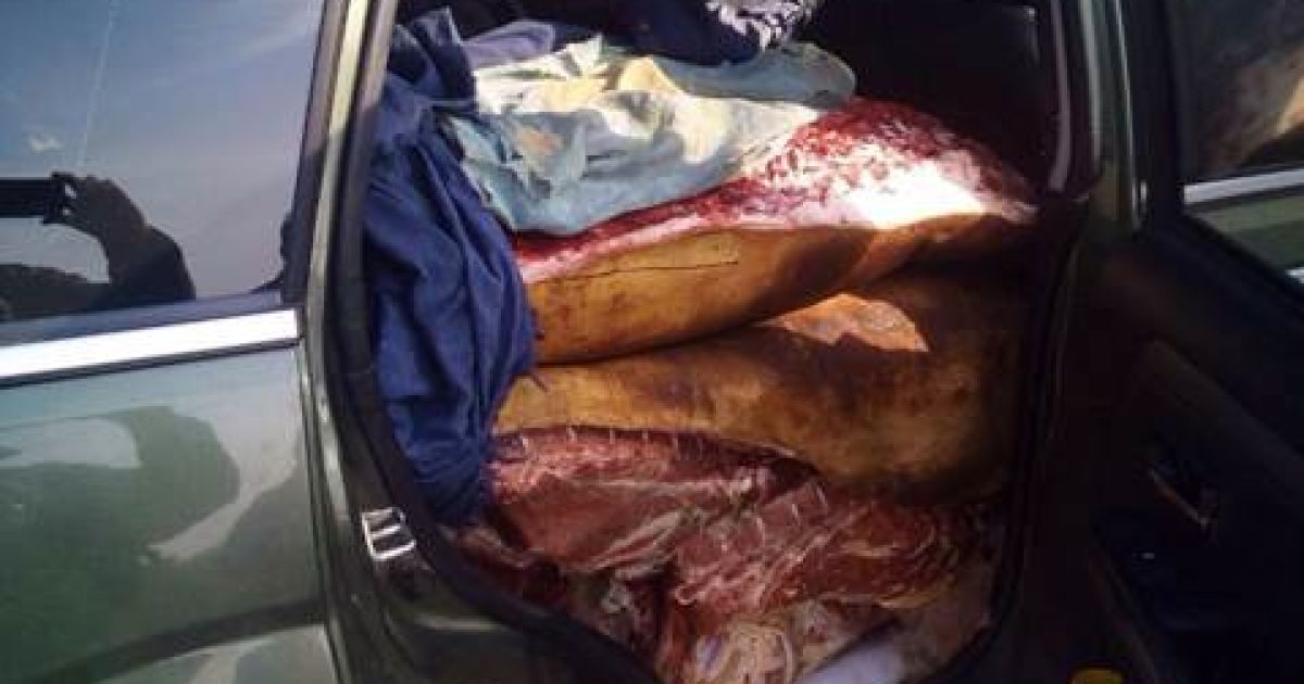 контрабанда днр_2