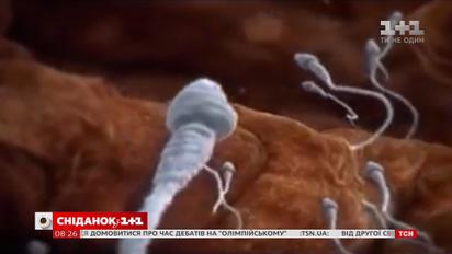 47 лабораторних дітей: як зруйнувалося родинне життя донора сперми