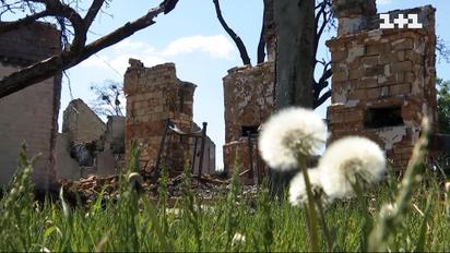 Село Мощун на Київщині повертається до життя – репортаж ТСН