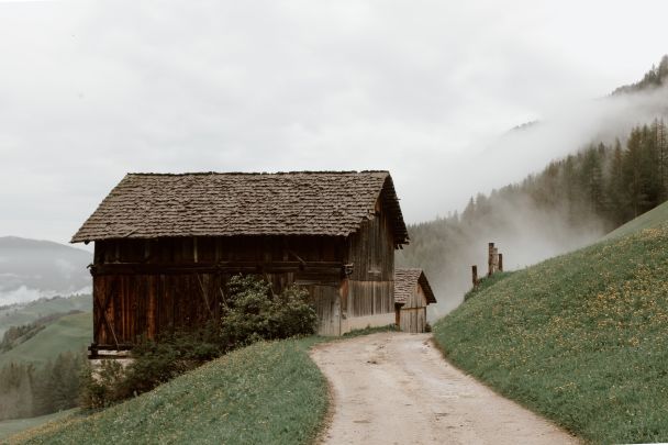  / © Pexels