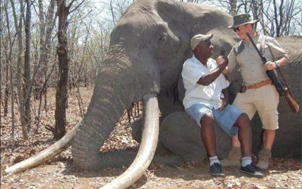 Охотник-толстосум выложил 60 тысяч долларов за убийство крупнейшего слона Африки